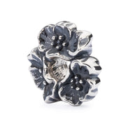 Ciliegio in fiore RITIRATO