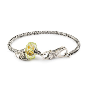Bracciale start eterna giovinezza
