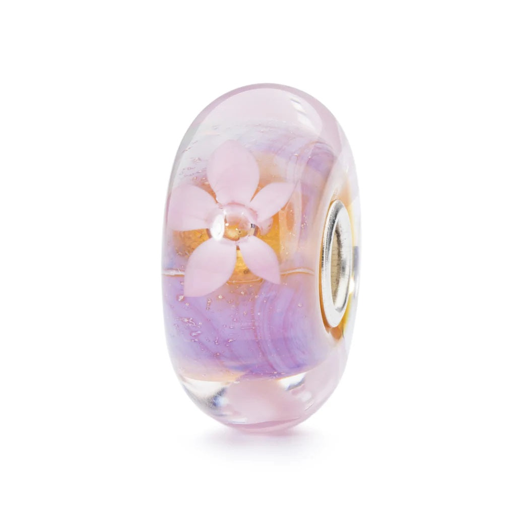 Anemone di mare