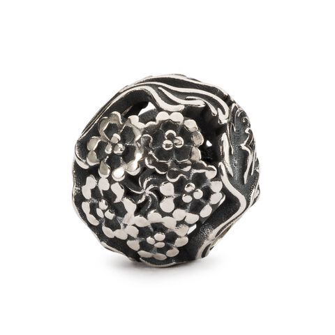 Verbena TAGBE-40125