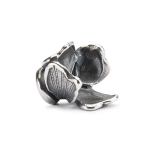 Fiore Delicato TAGBE-10249