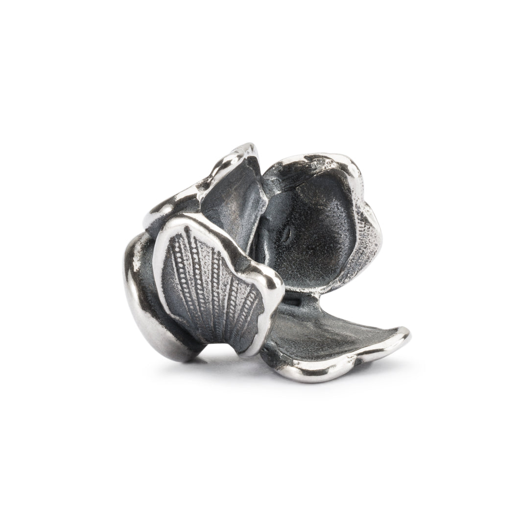 Fiore Delicato TAGBE-10249