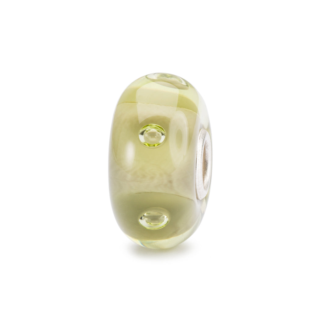 Madre Terra TGLBE-10474