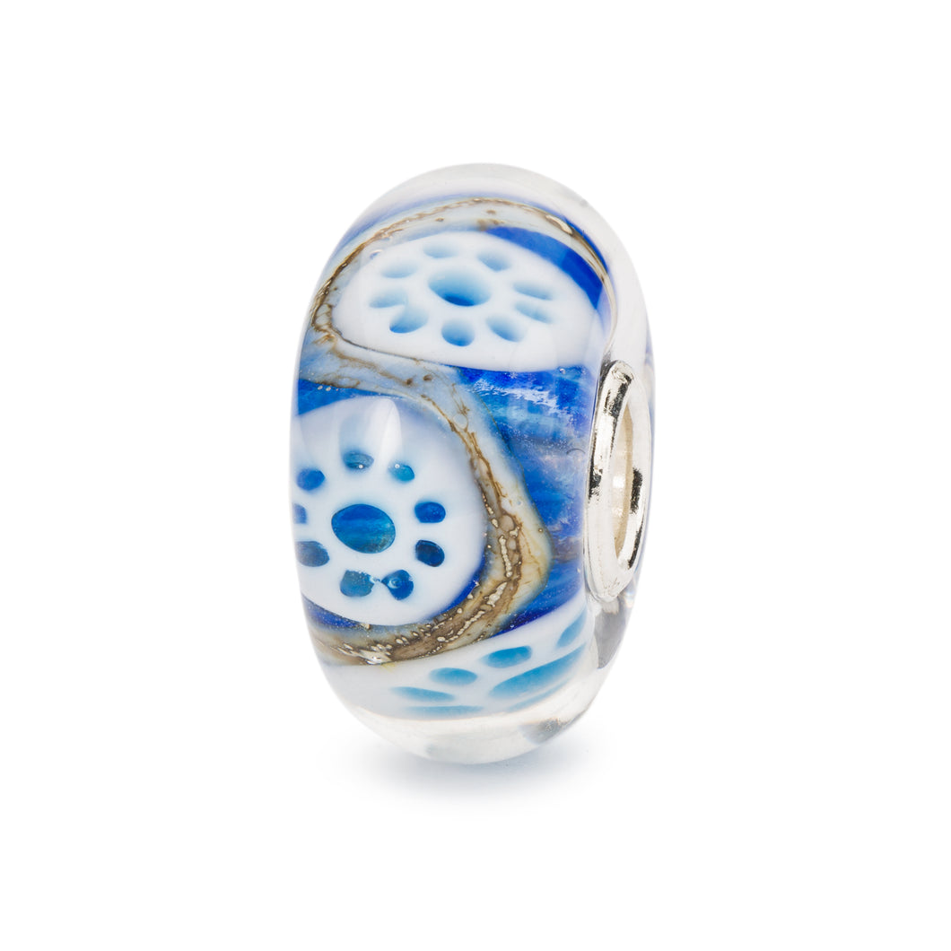 Corallo Prezioso LIMITED EDITION