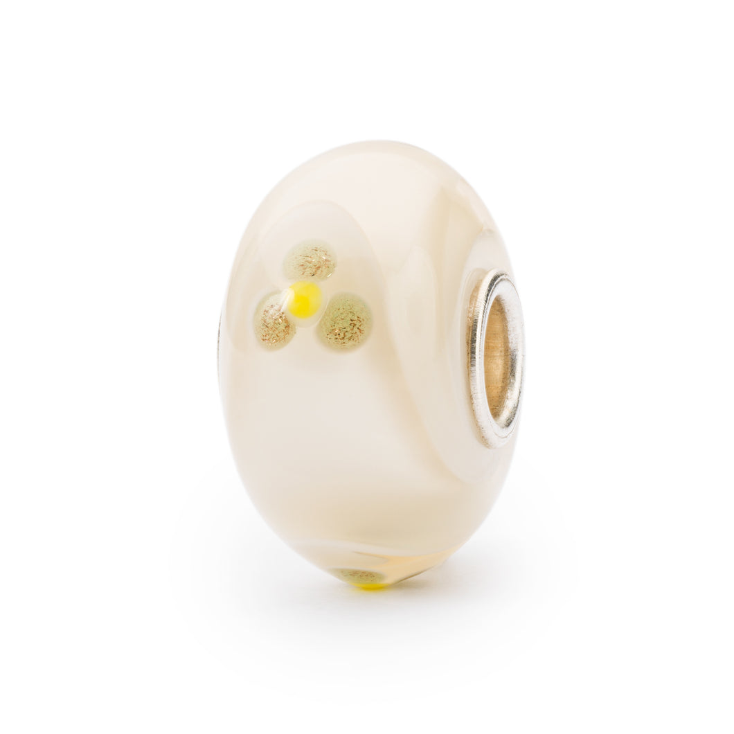 Armadillo dell'Equilibrio LIMITED EDITION